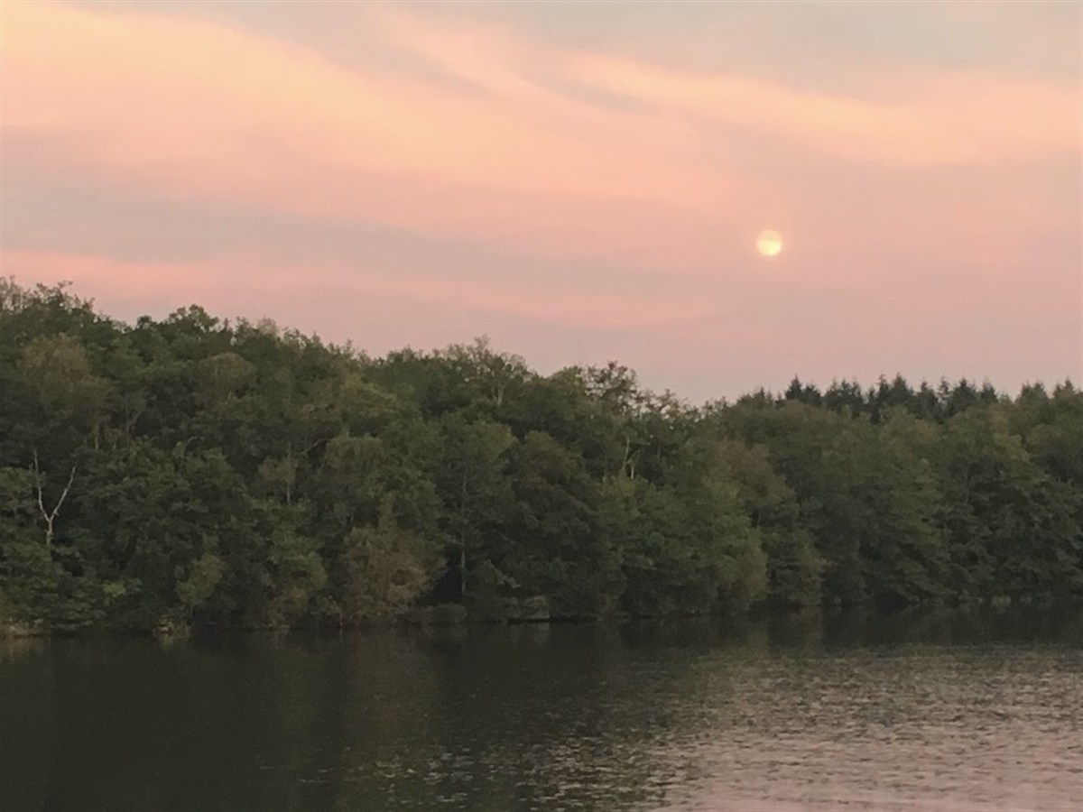 Nature et lac à Saint-Pardoux-le-Lac